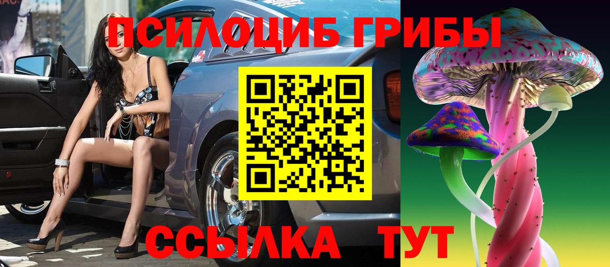 Псилоцибиновые грибы Psilocybe  Вход с VPN  Грязи 