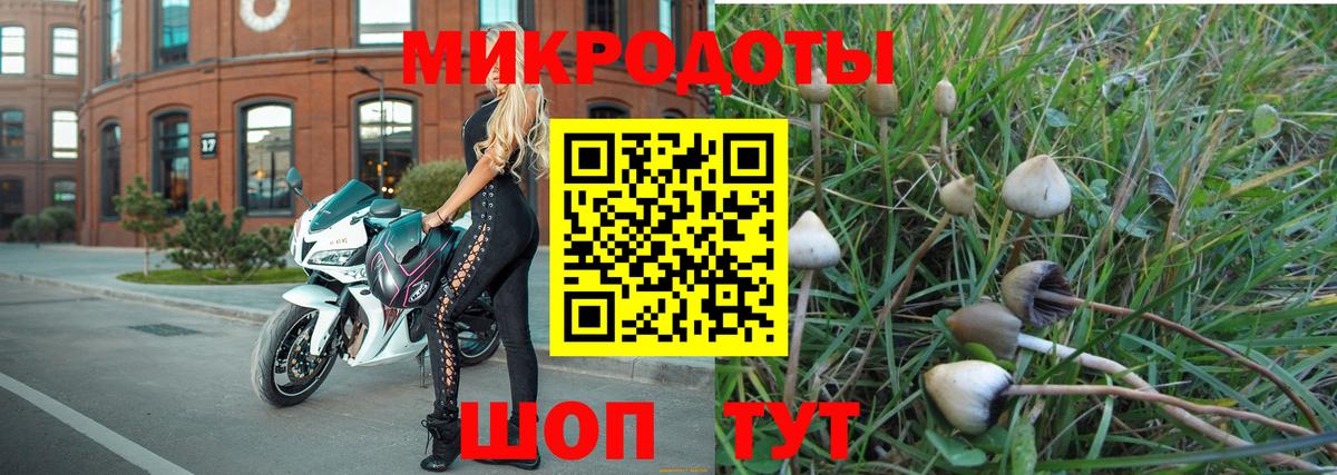 Псилоцибиновые грибы ЛСД Грязи